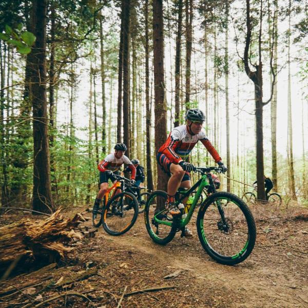 Mountainbike i Hannerup Skov