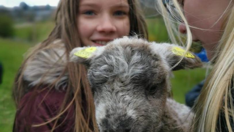 Børn med et lam i Madsby Legepark 