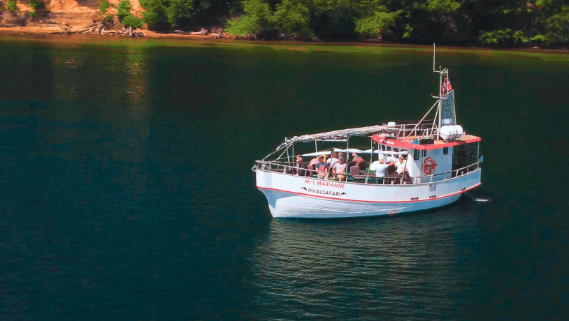 MS marianne sejlture i Fredericia