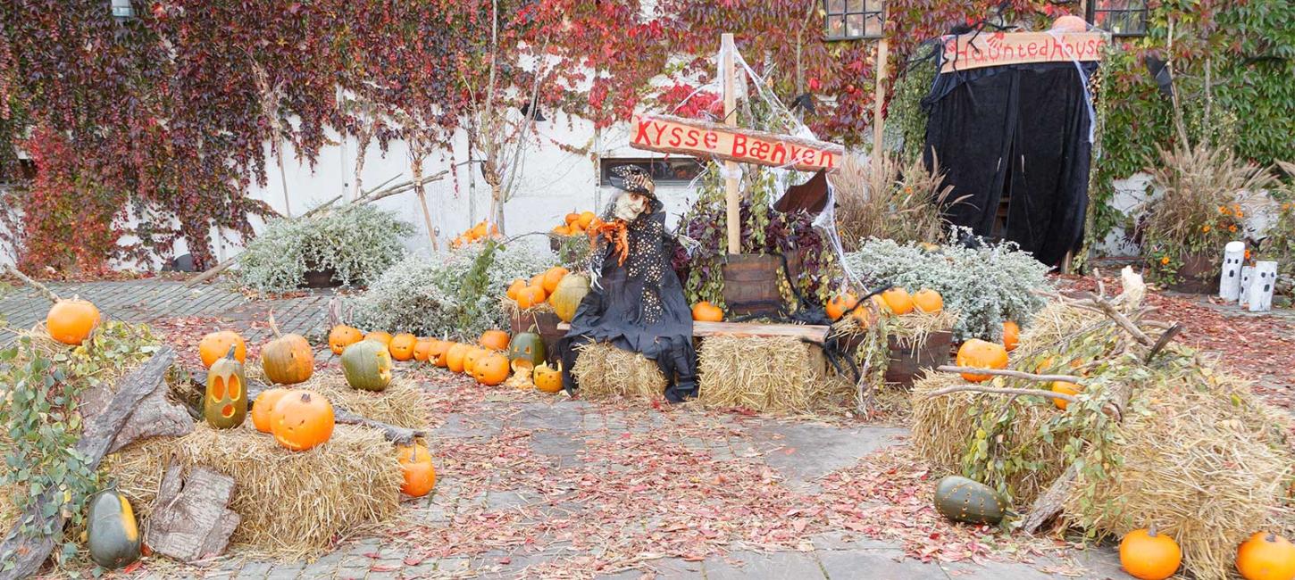 Halloween udstilling på Rådhuspladsen i Fredericia