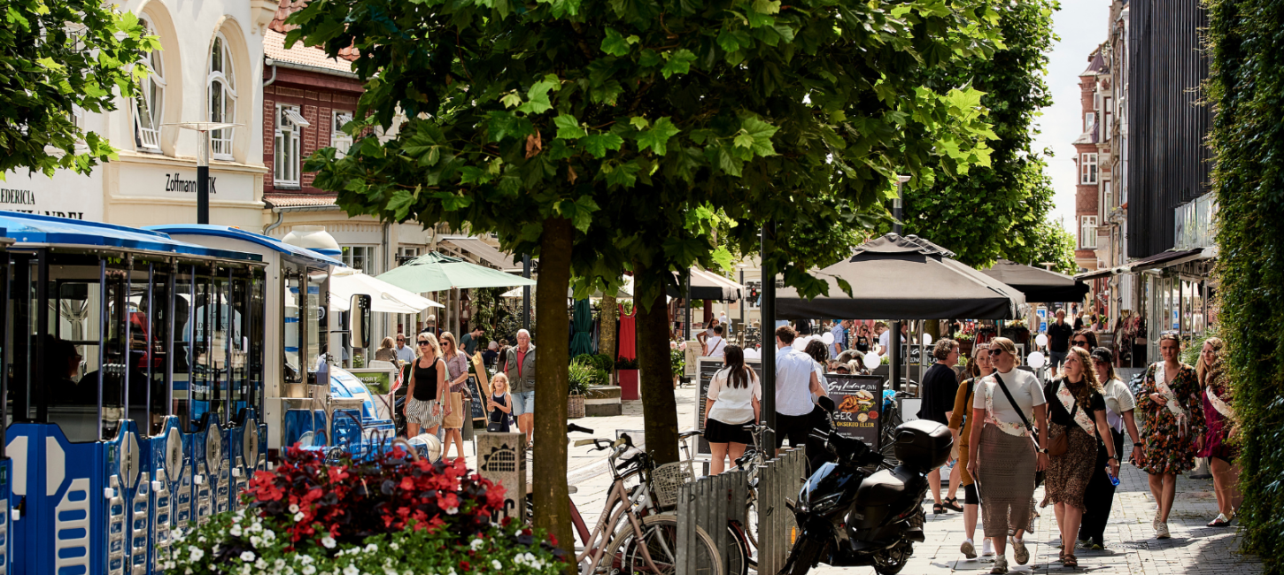 Fredericia bymidte og historiske gader