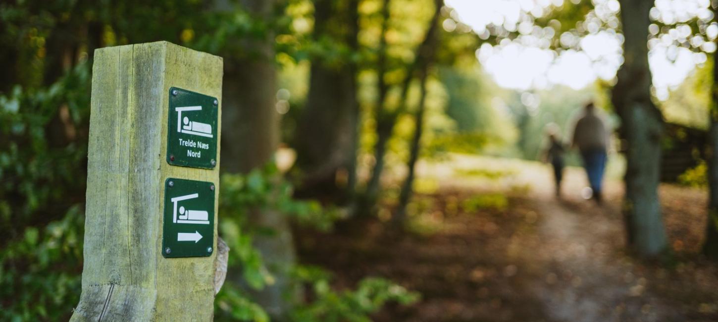 Shelter og teltplads på Trelde Næs