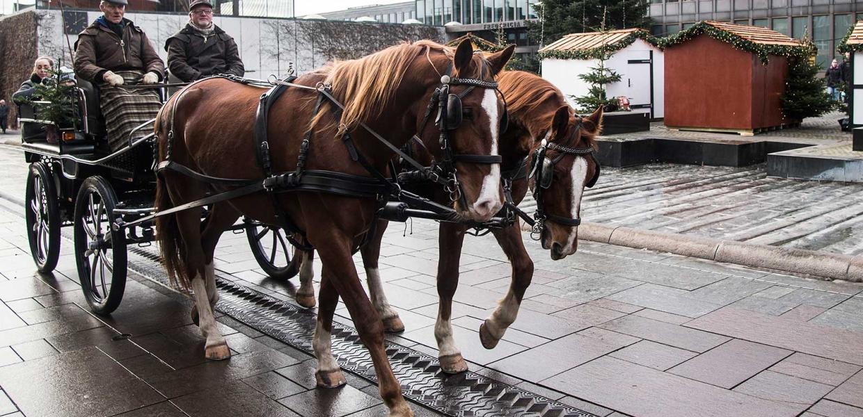 Hestevogn i Fredericias gader