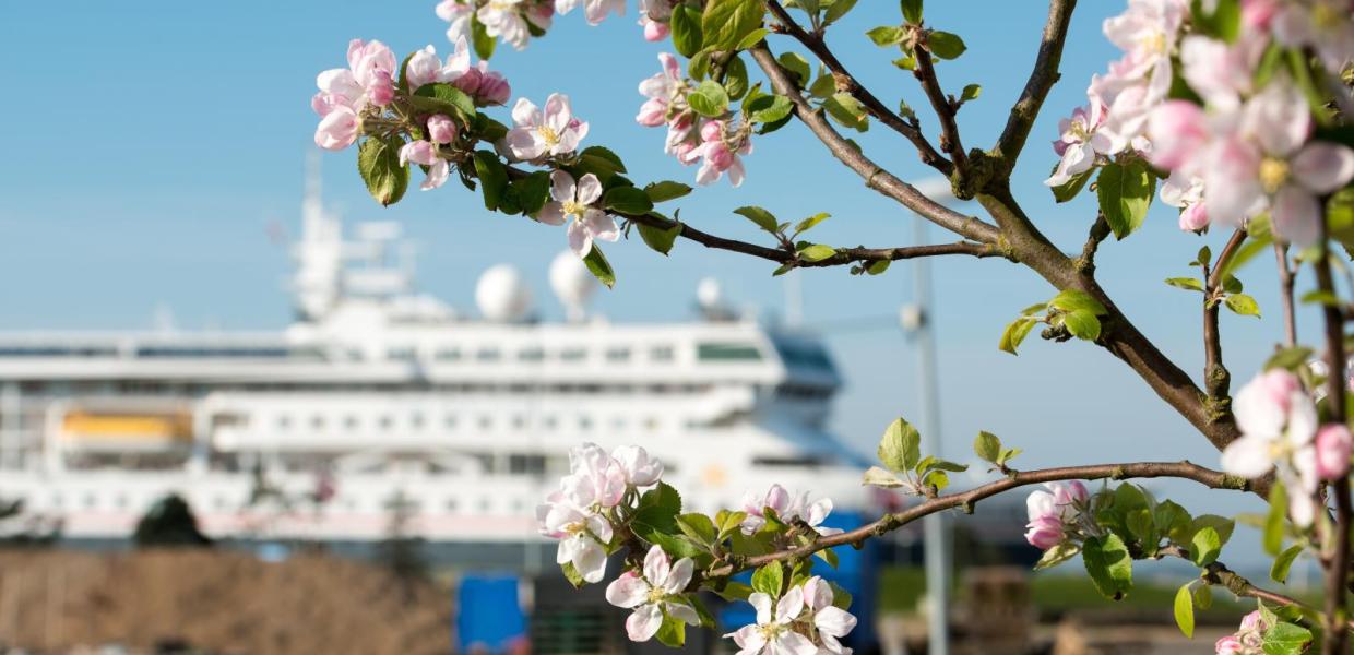 krydstogtskib på Fredericia havn