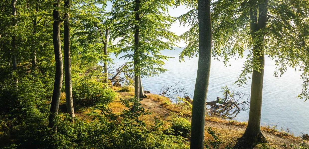 Oplev Trelde Næs på din cykelferie