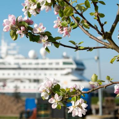 krydstogtskib på Fredericia havn