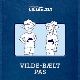 Vilde-Bælt pas