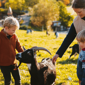 Oplev dyr i Madsby Legepark