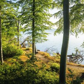 Oplev Trelde Næs på din cykelferie