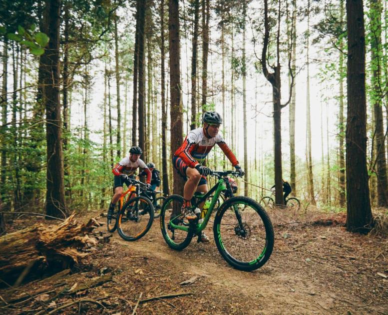 Mountainbike i Hannerup Skov