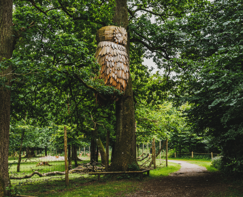 Find træskulpturer i skoven i Fredericia